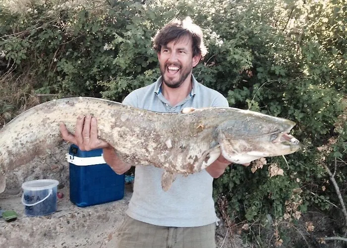 Casa di campagna Casa De Diezmos *